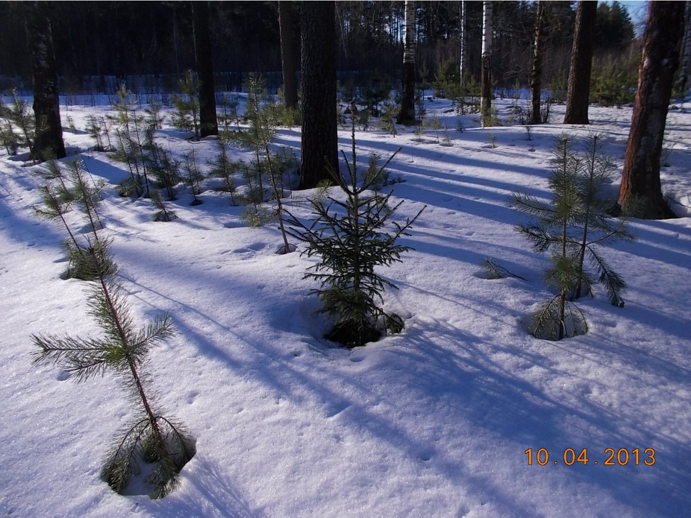 DSCN2217.JPG