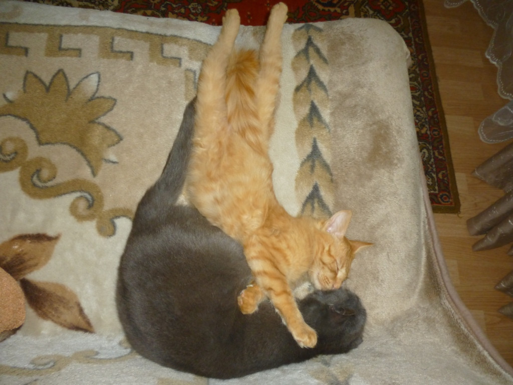 P1010633.JPG