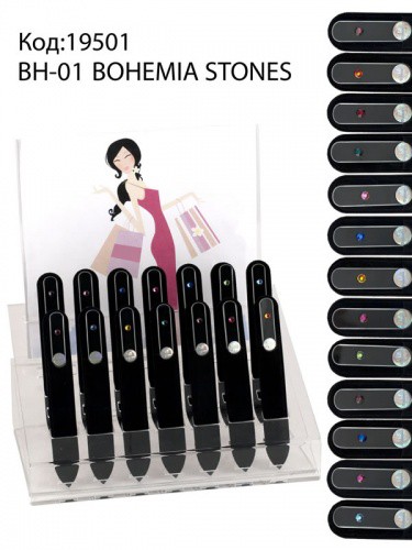 BH-01  