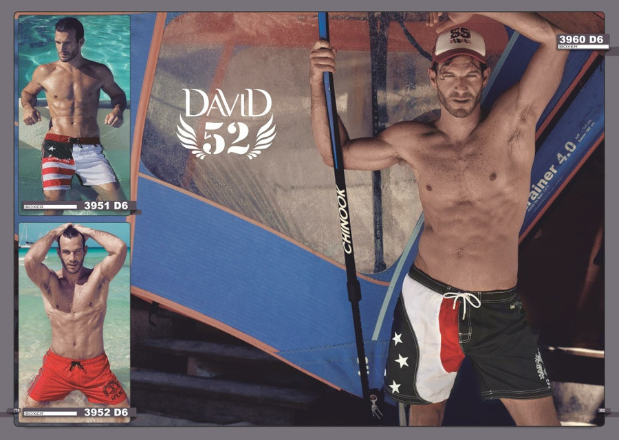 David Catalogue 2013_091.jpg