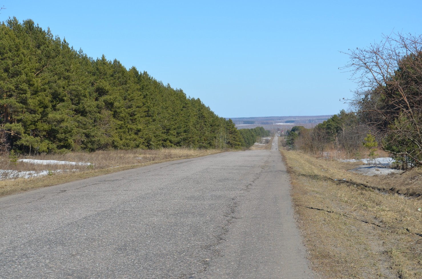 DSC_0602.JPG