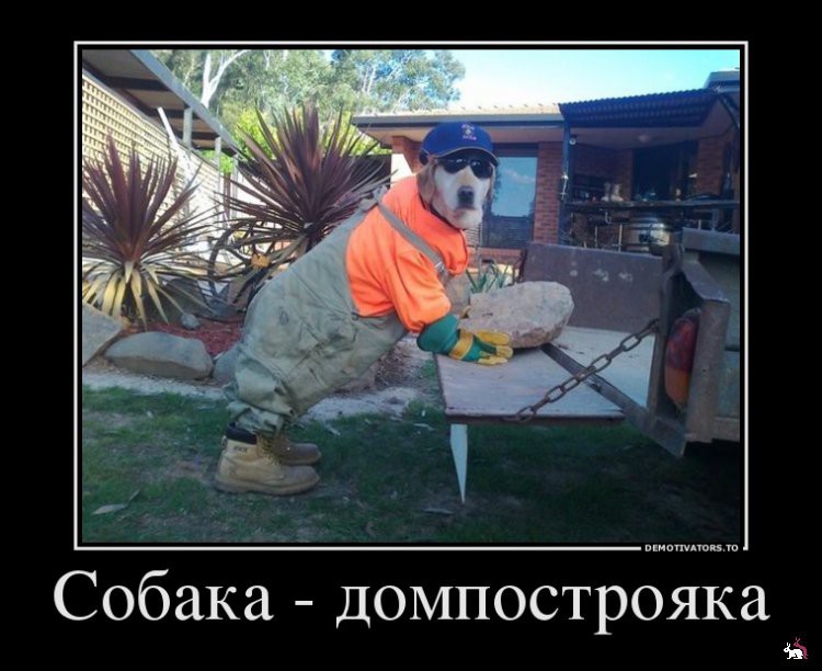 1361263652_876882_sobakadompostroyaka_demotivators_ru.jpg