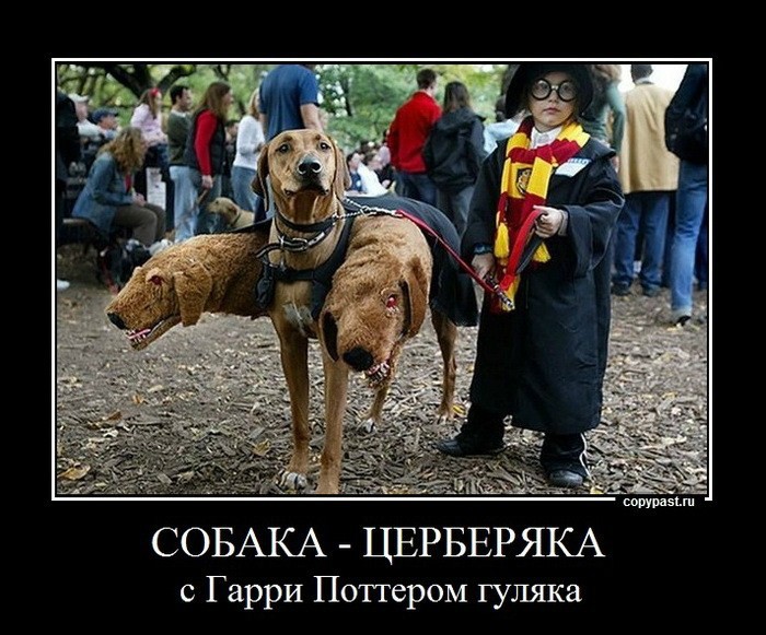 foto51p6_27.jpg