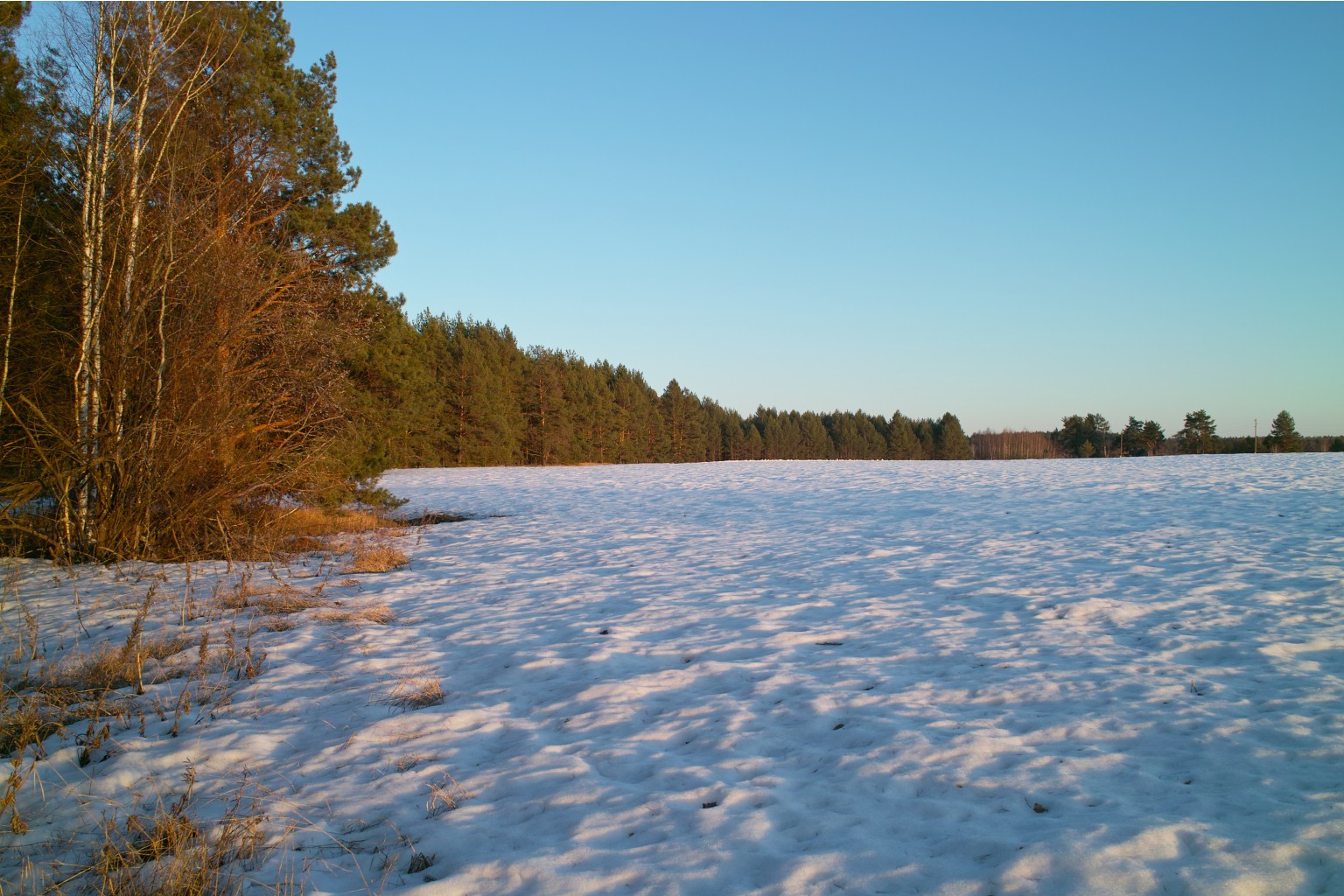 SDIM0024.jpg