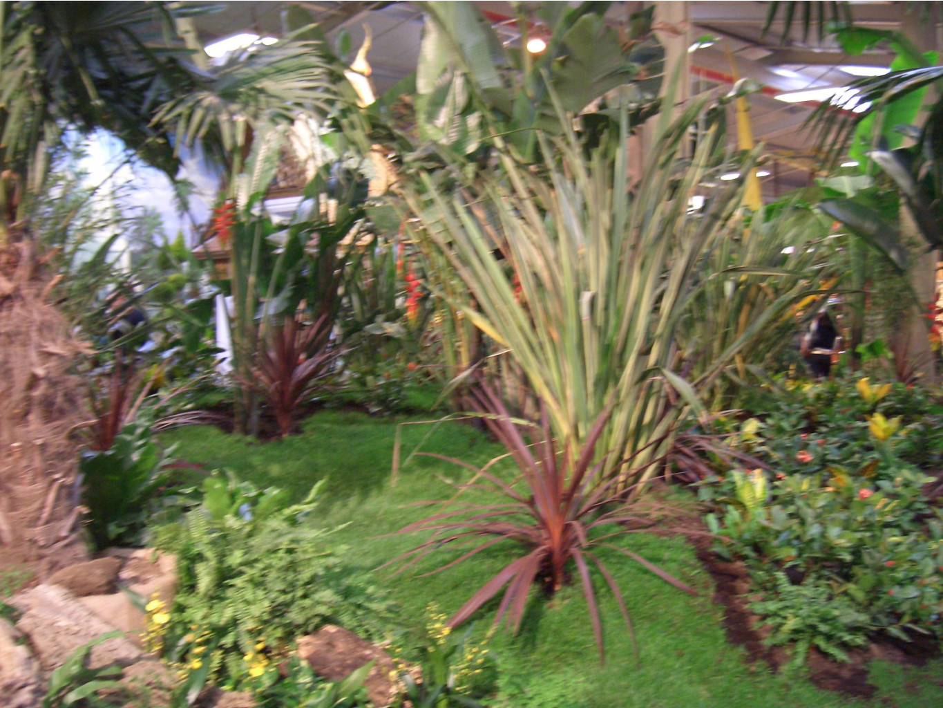 AFA 03.2007