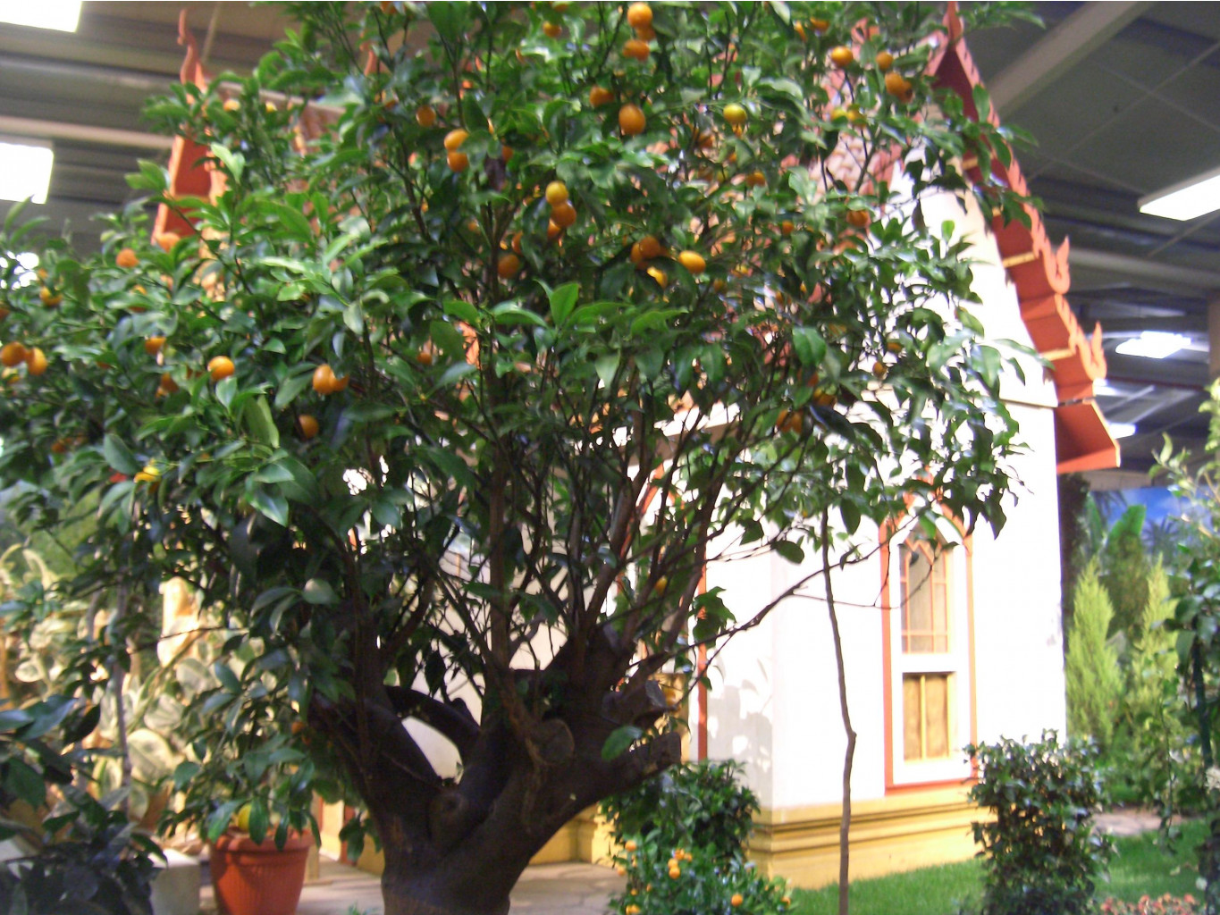 AFA 03.2007