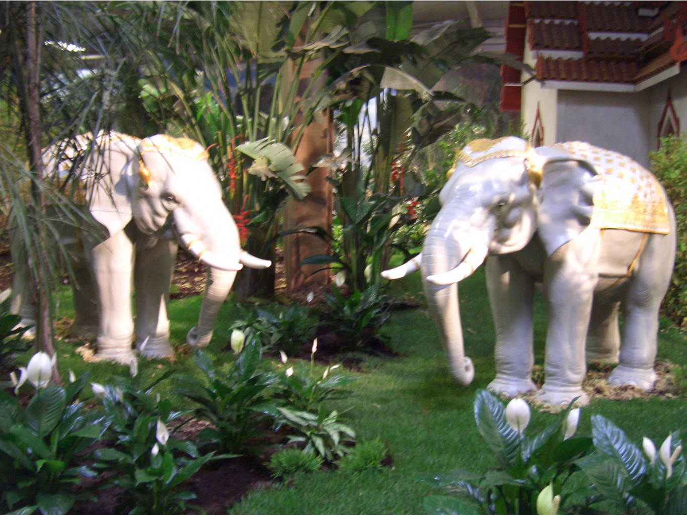AFA 03.2007