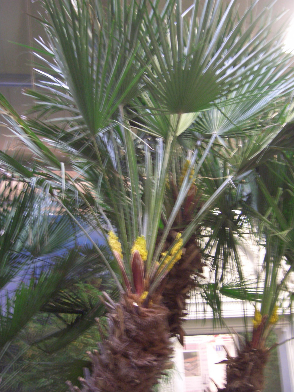 AFA 03.2007