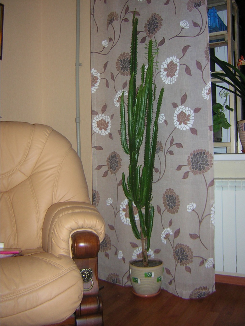 DSCN9237.JPG