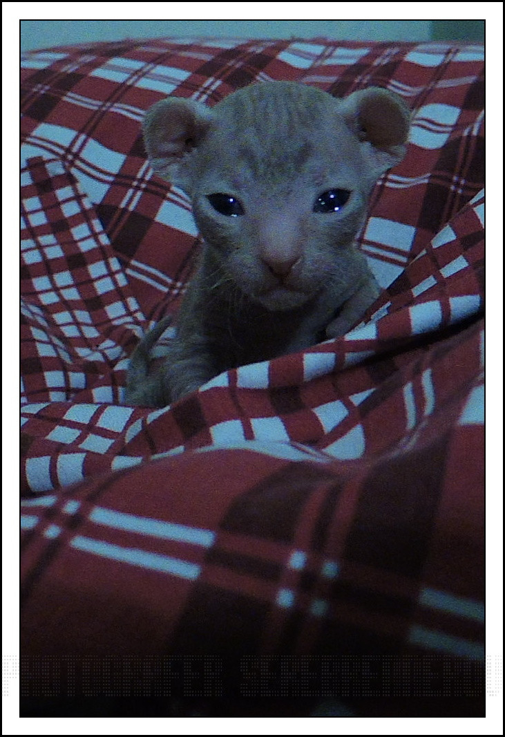 open-eyes.JPG