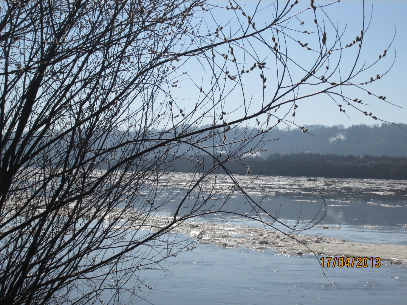 IMG_0475.JPG