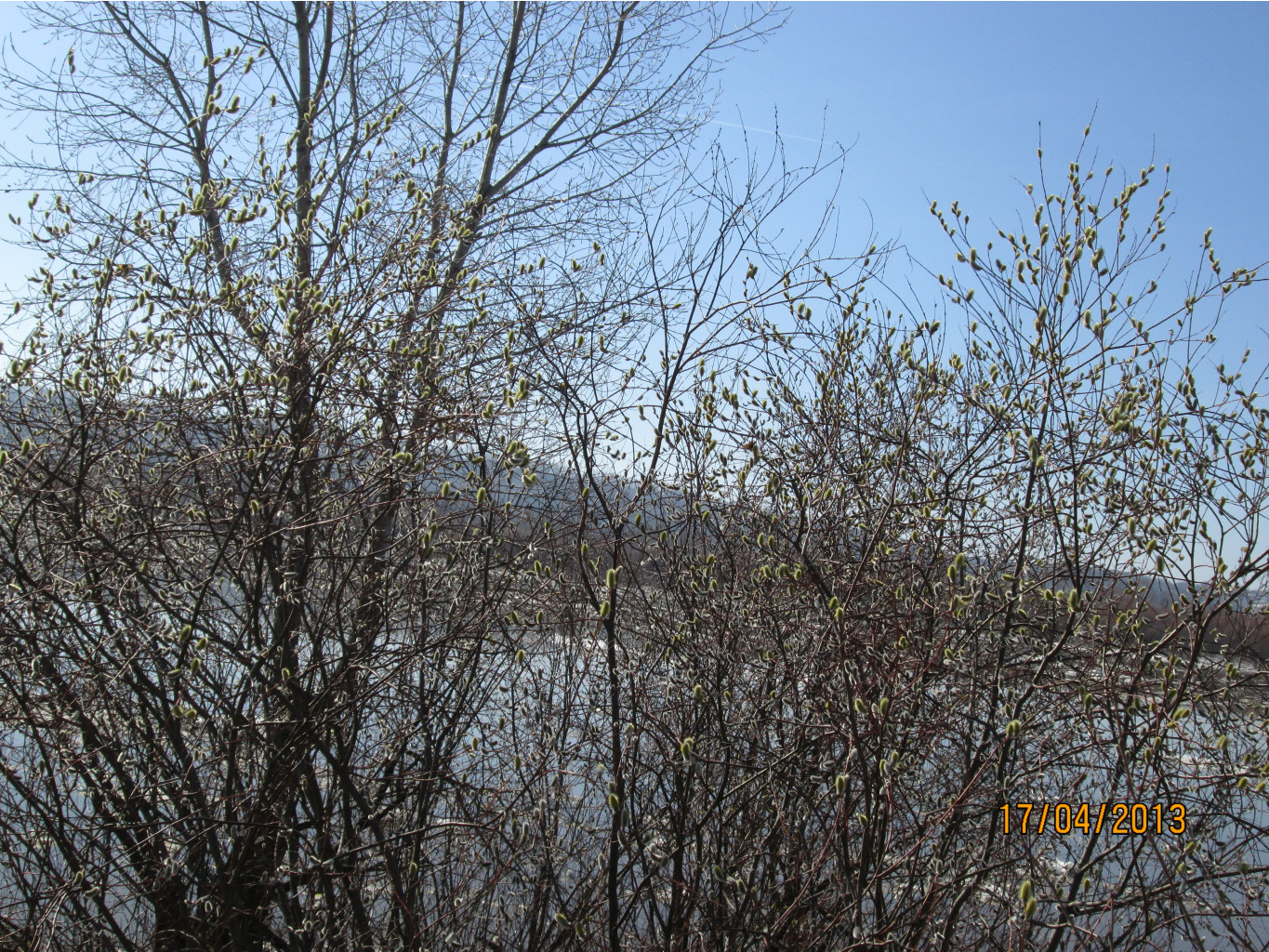 IMG_0480.JPG