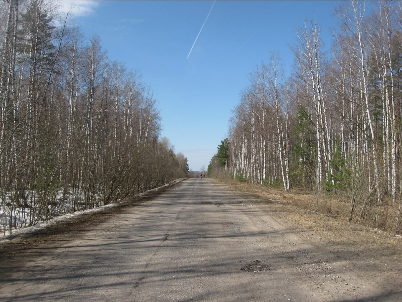 IMG_7830.JPG