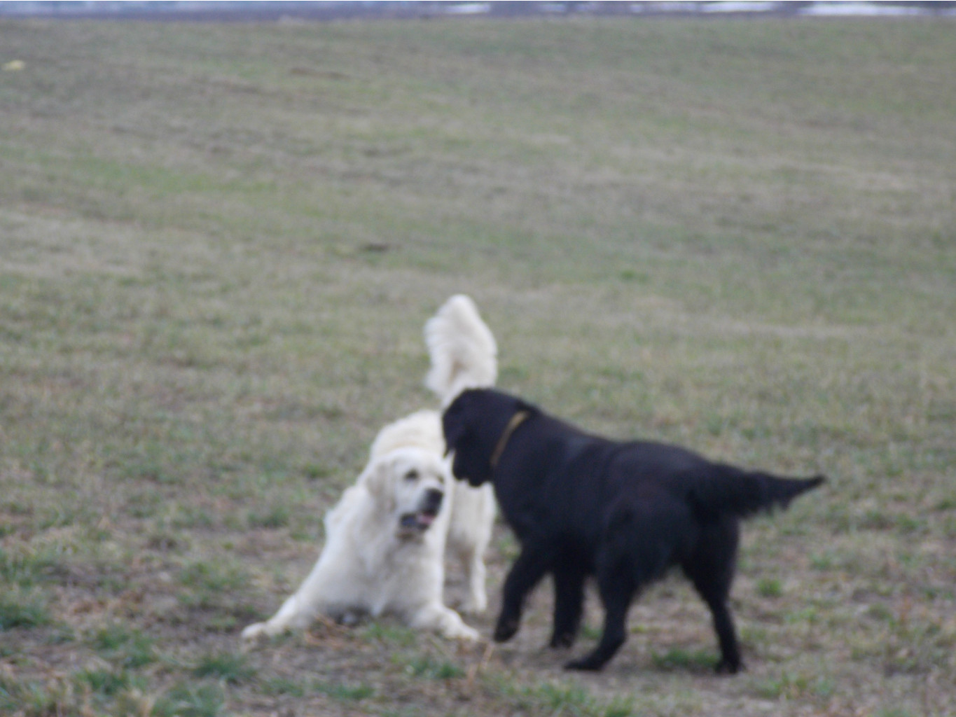 dscn2389.JPG