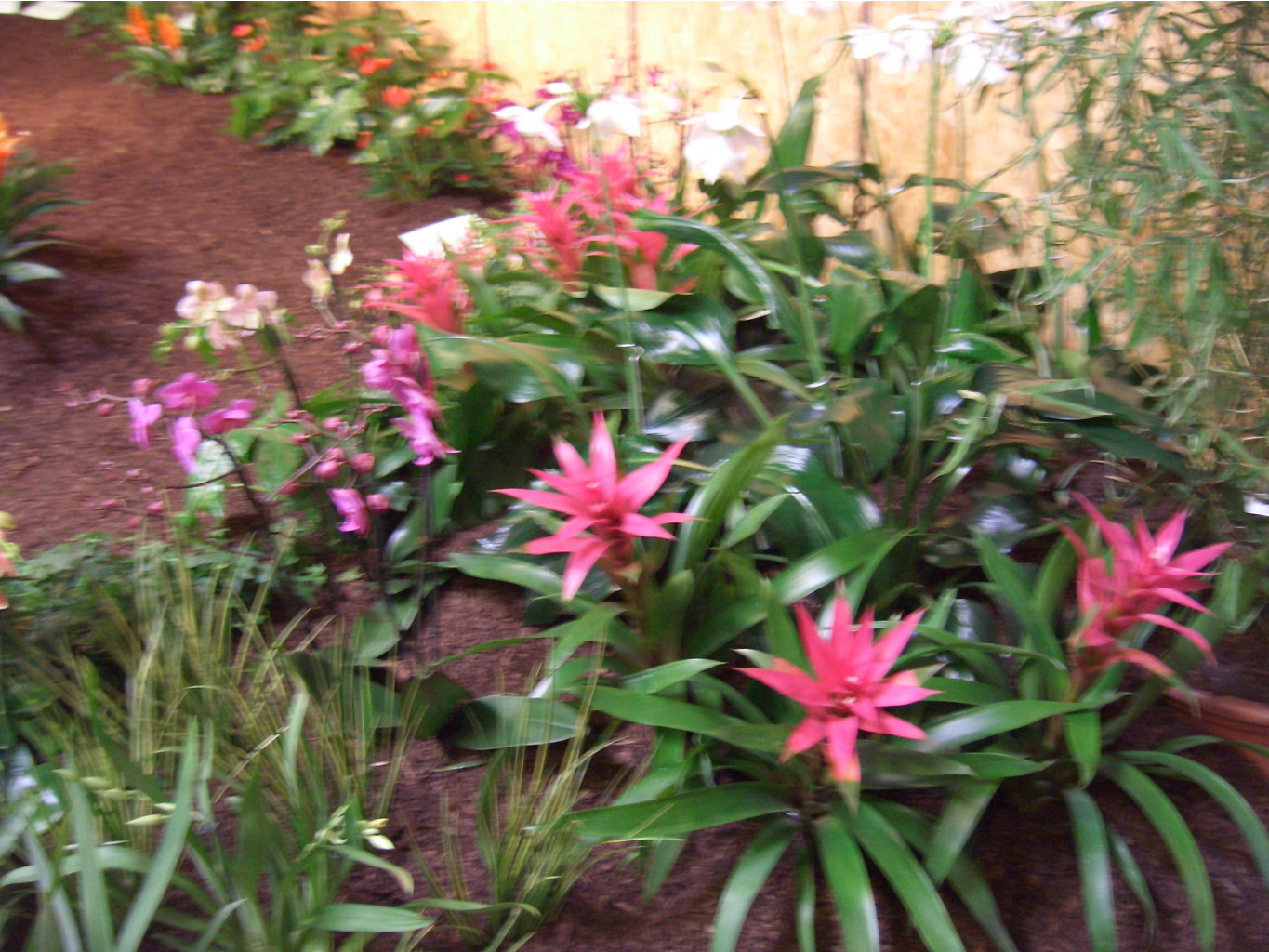 AFA 03.2007