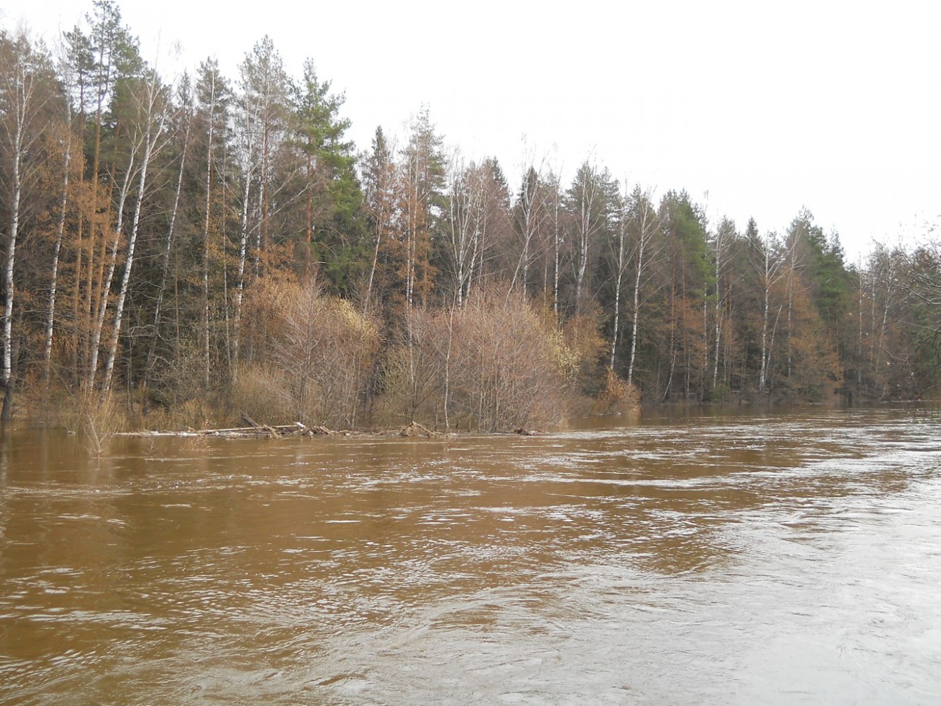 DSCN1375s.JPG