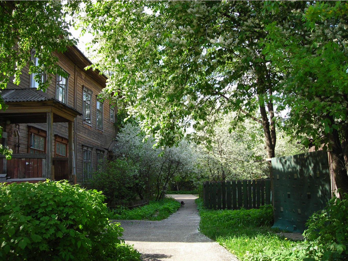 городской двор.JPG