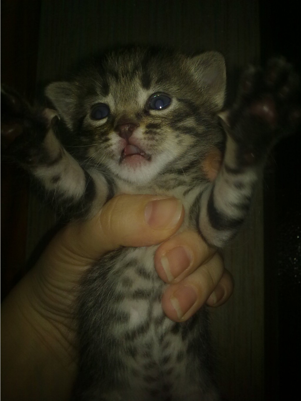 020420132049.jpg