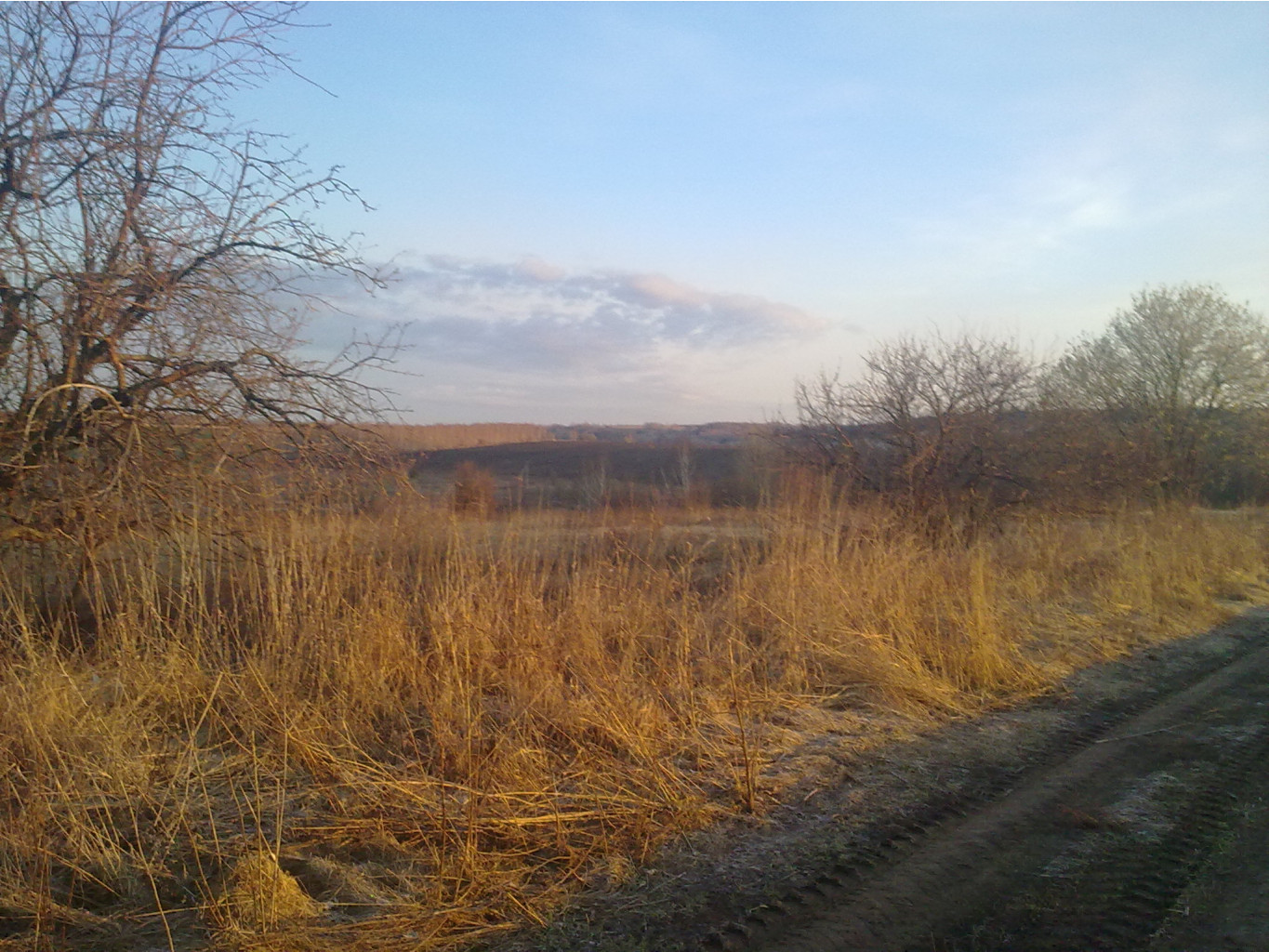 27042013078.jpg