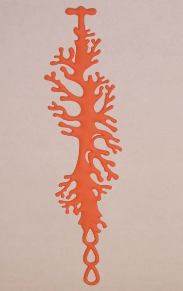 Coral , 