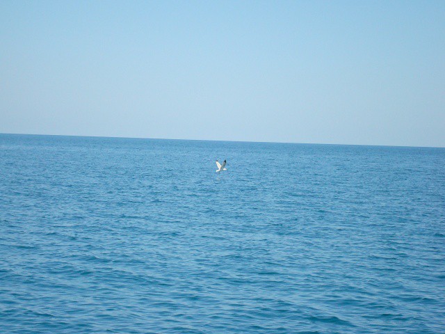 30.06.2007 16:14:53
