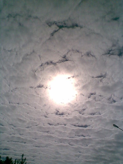 009.jpg