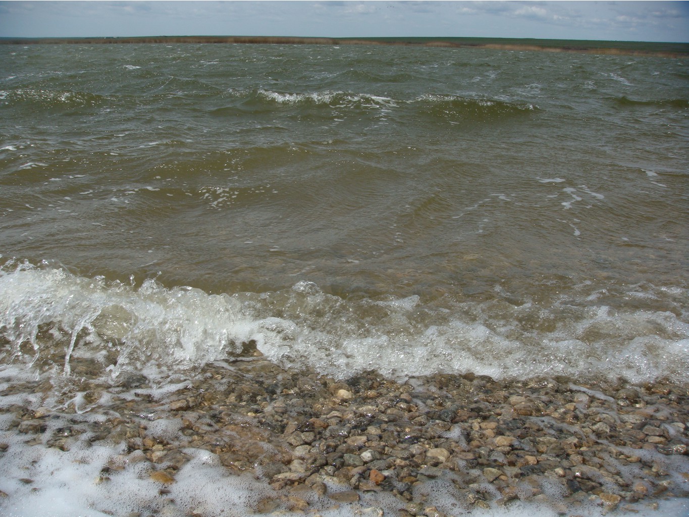DSC07245.JPG
