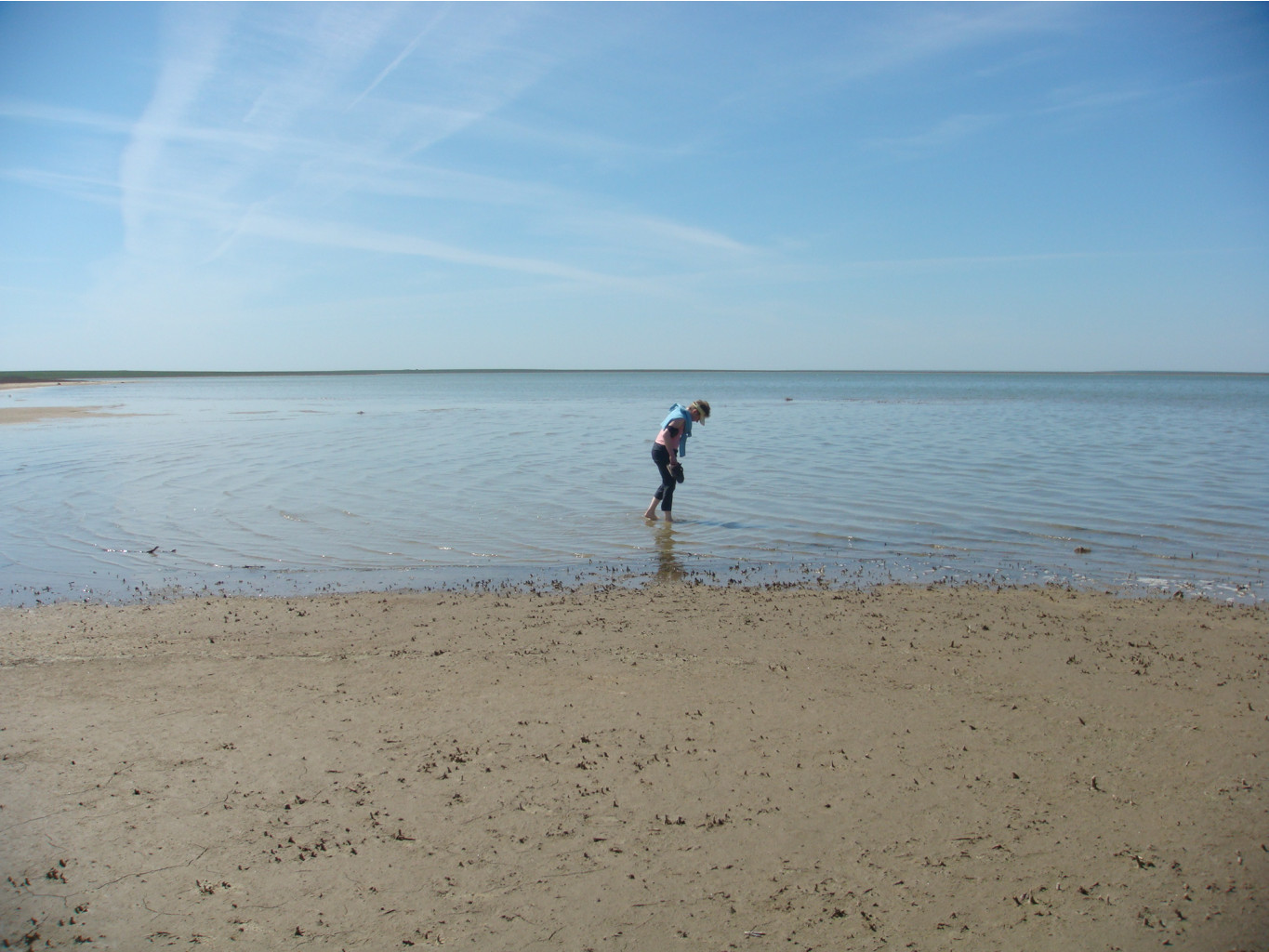 DSC07384.JPG