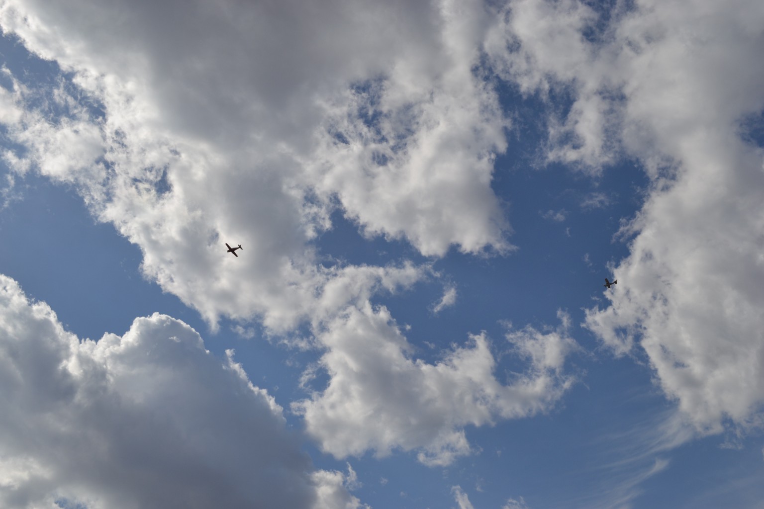 DSC_0141.JPG