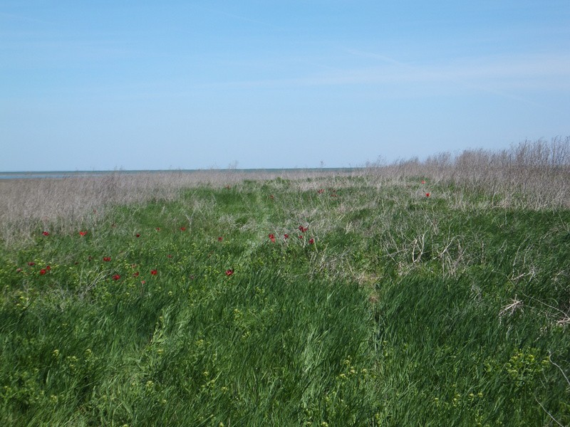 DSCF7768.JPG