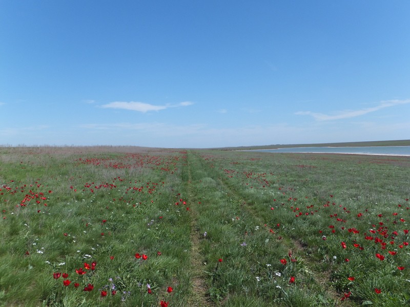 DSCF7781.JPG