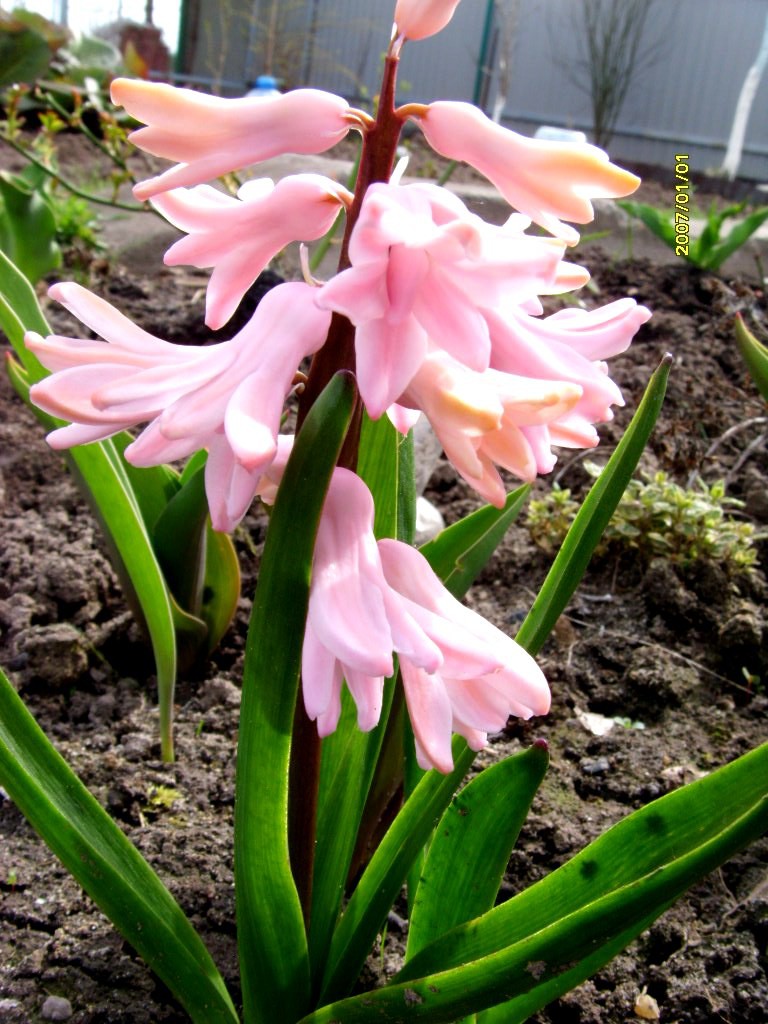 S73R4084.JPG