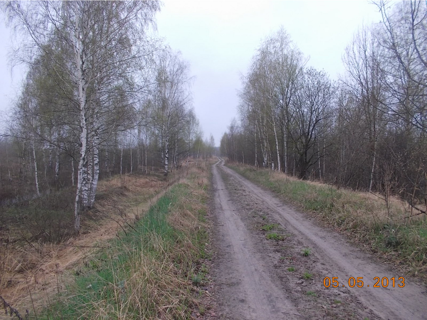 DSCN2601.JPG