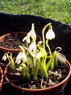 1-1015-Photo-0027.jpg