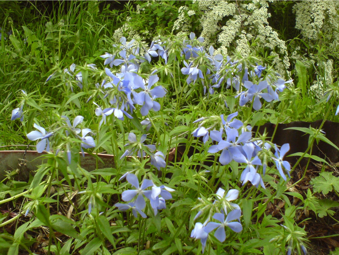 DSC00022.JPG