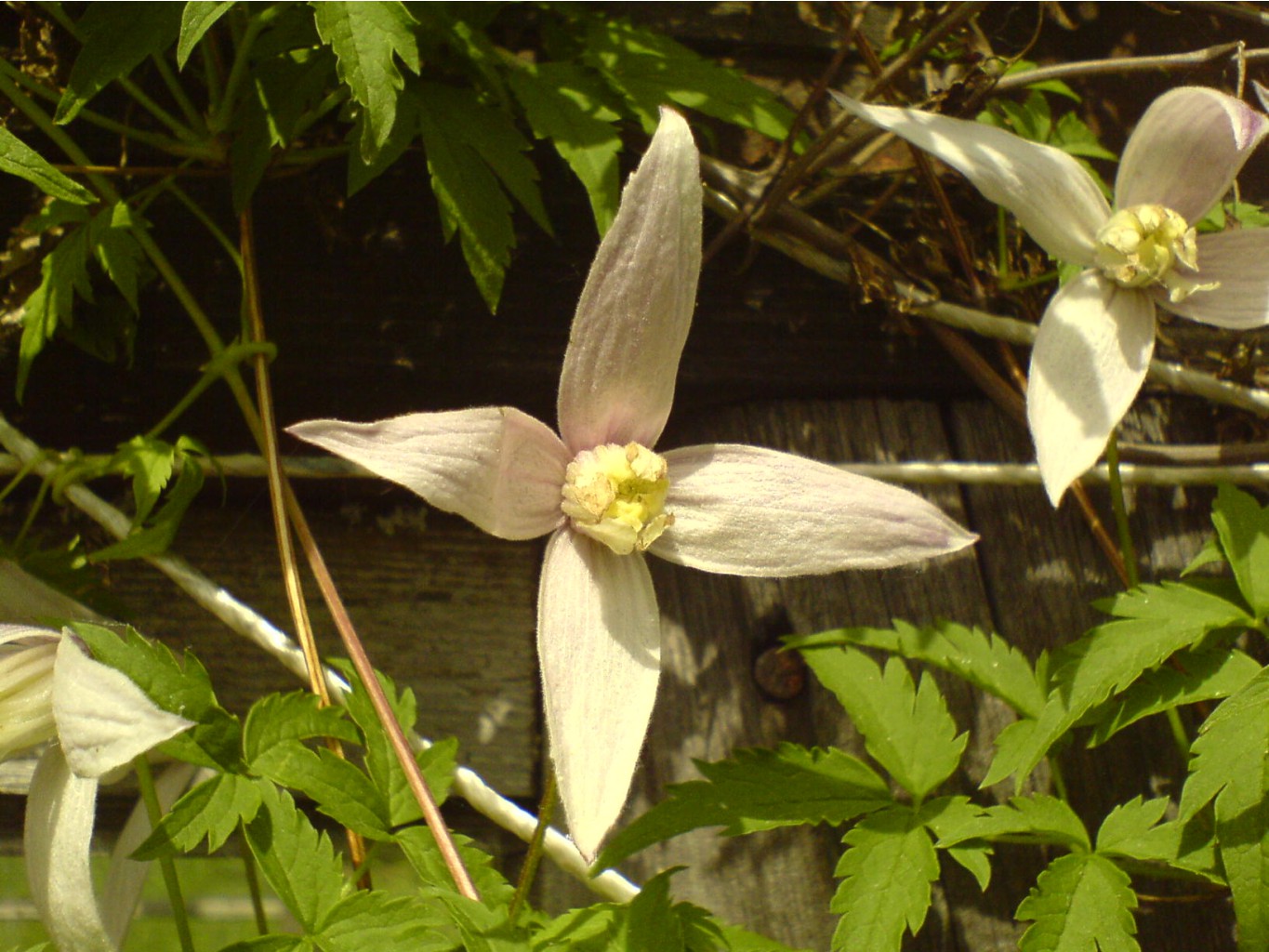 DSC00030.JPG