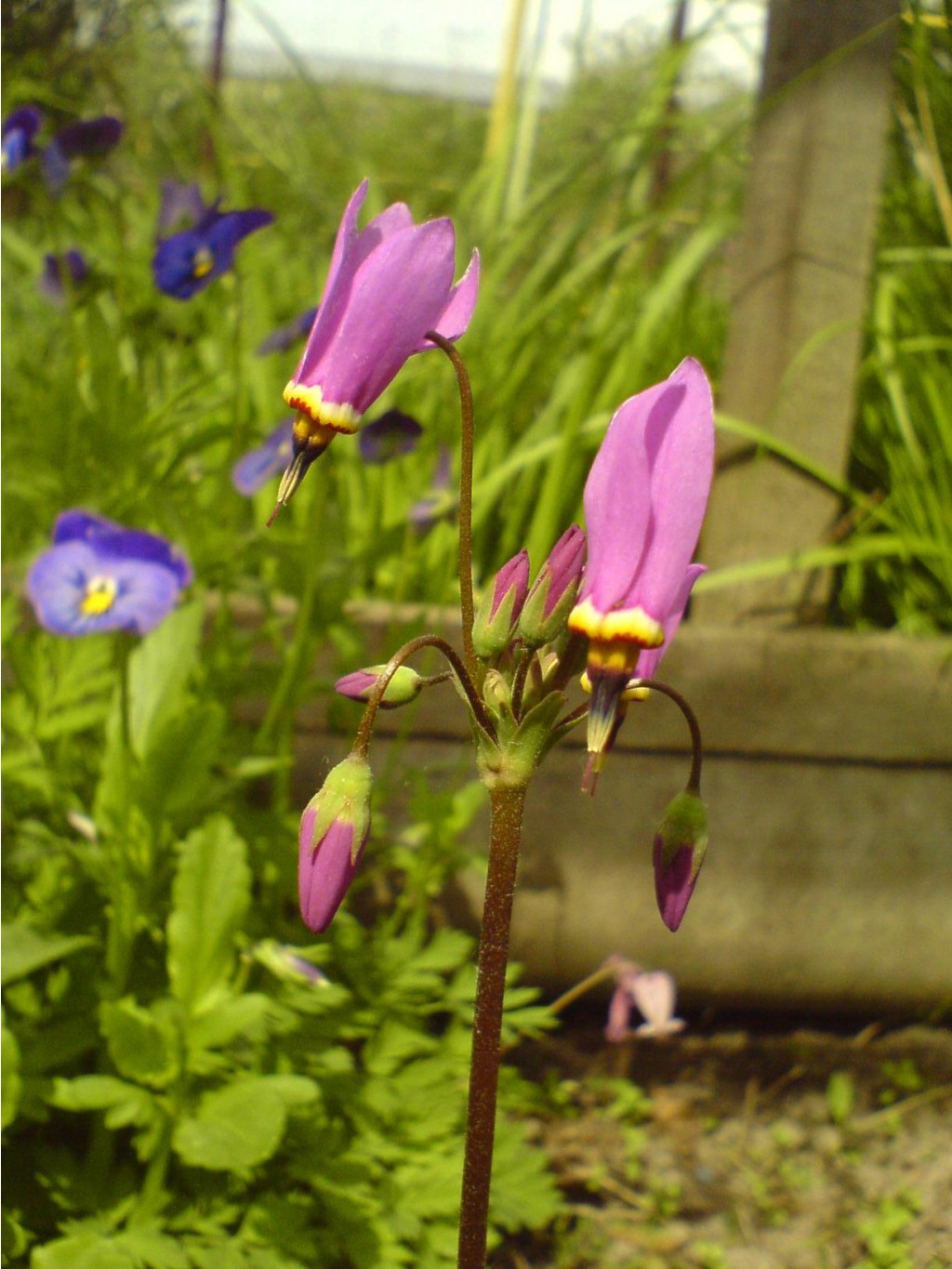 DSC00031.JPG