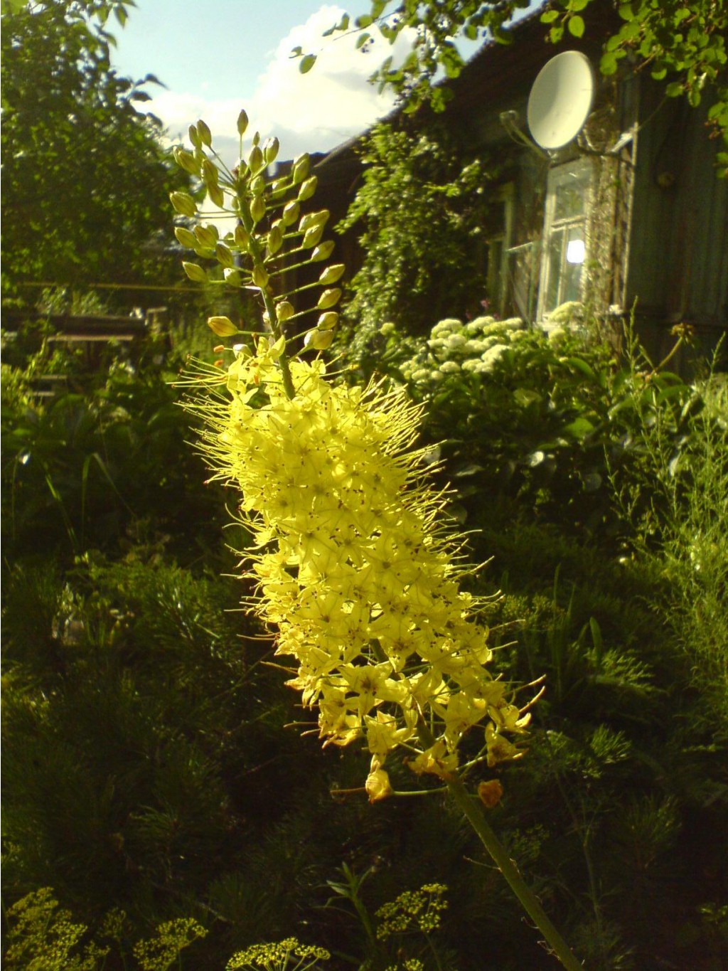 DSC00065.JPG