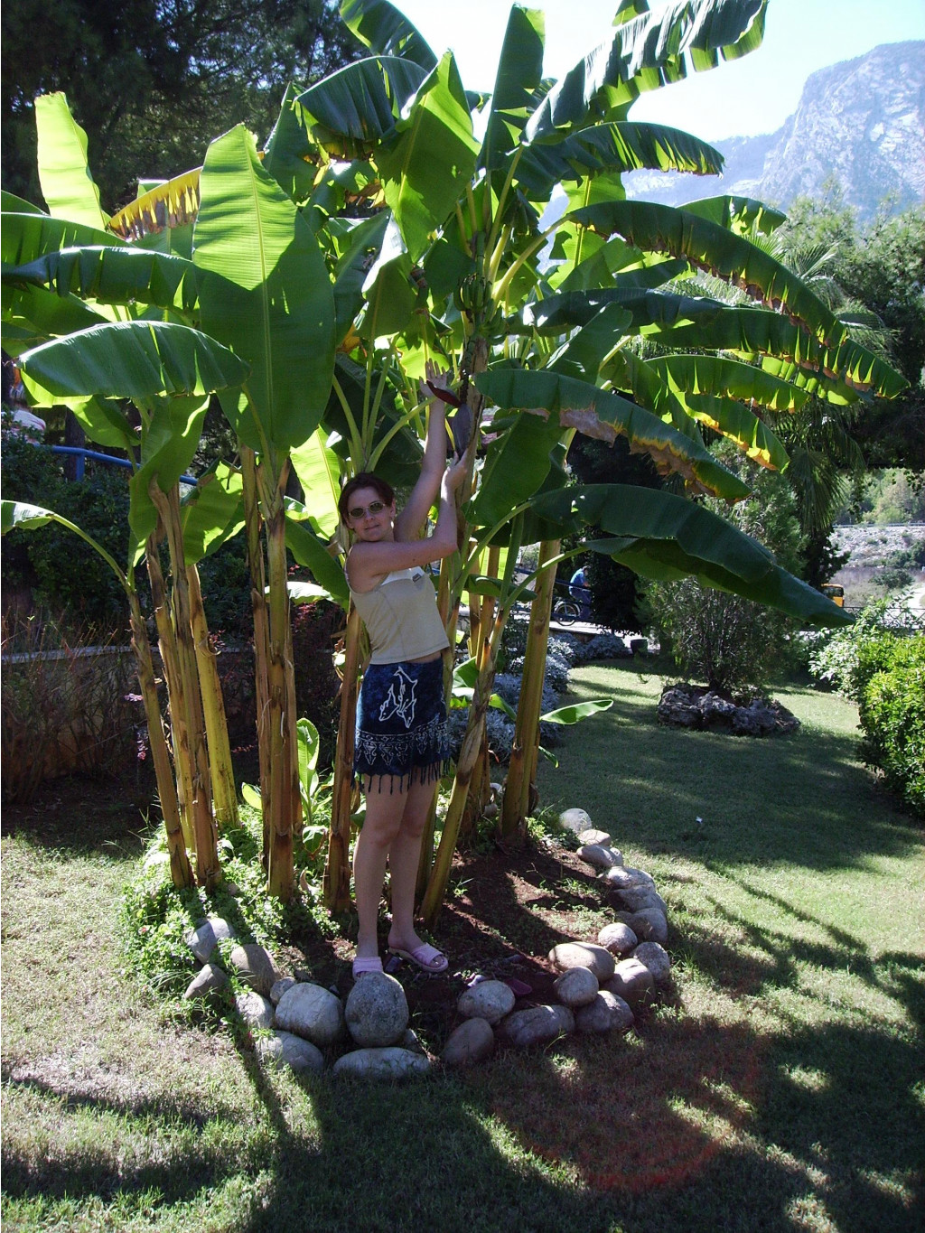 02.07.2007 22:48:35