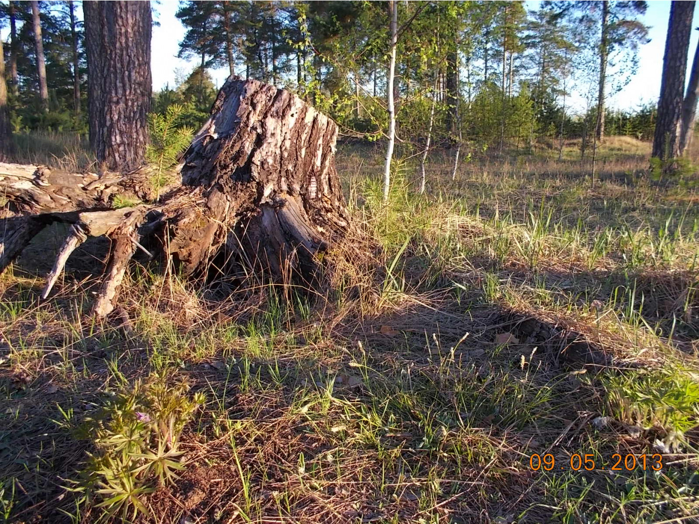 DSCN2698.JPG