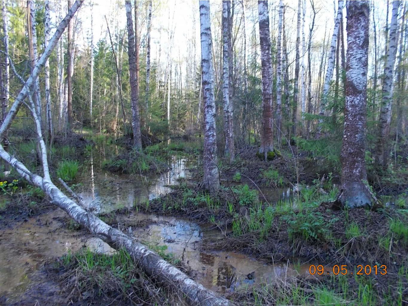 DSCN2721.JPG
