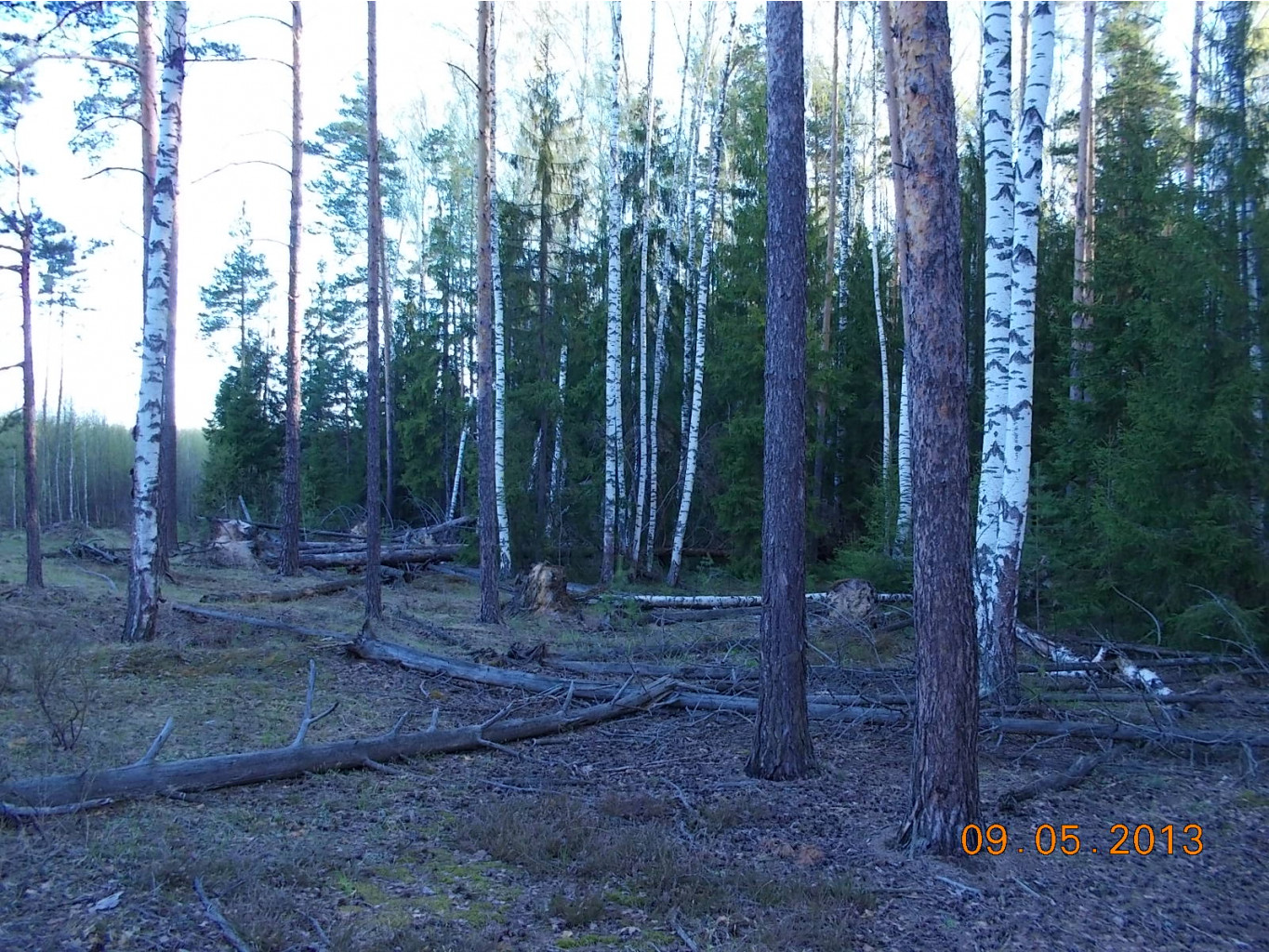 DSCN2726.JPG