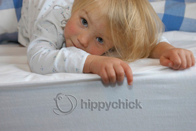    Hippychick