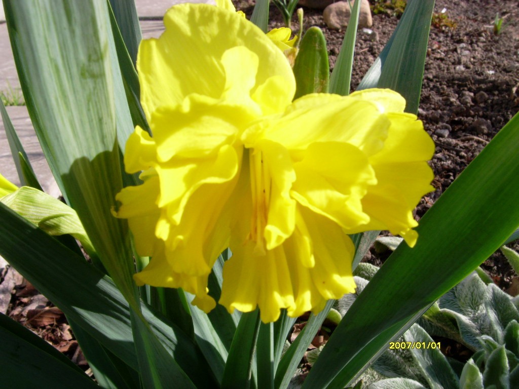S73R4130.JPG