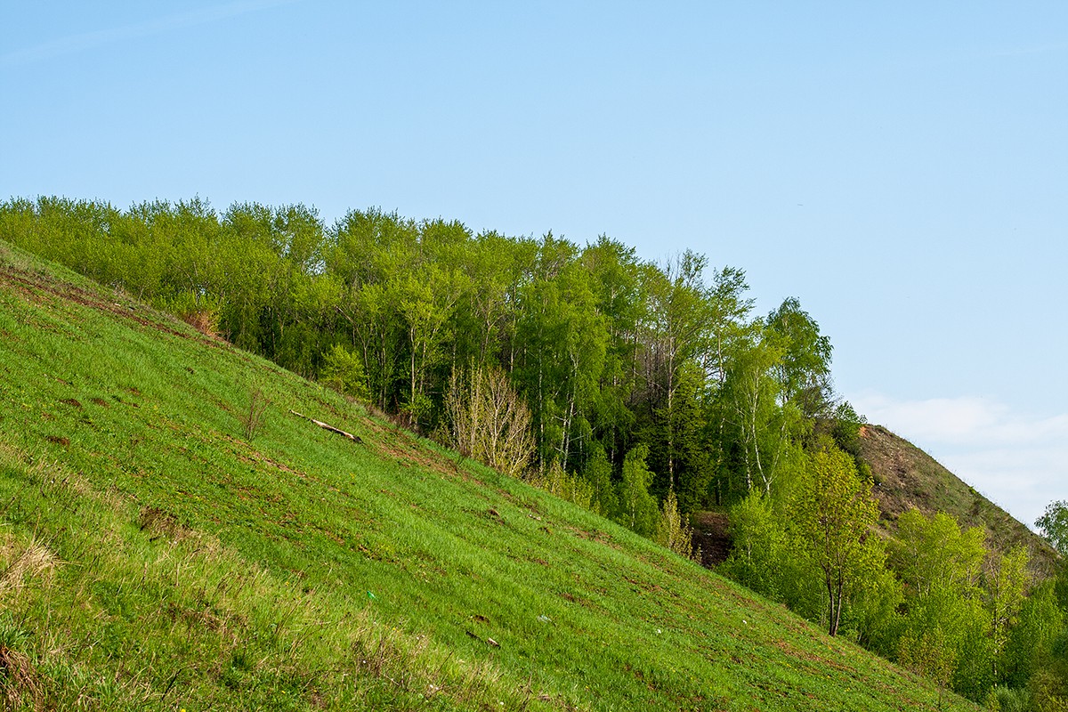 IMG_7998.jpg