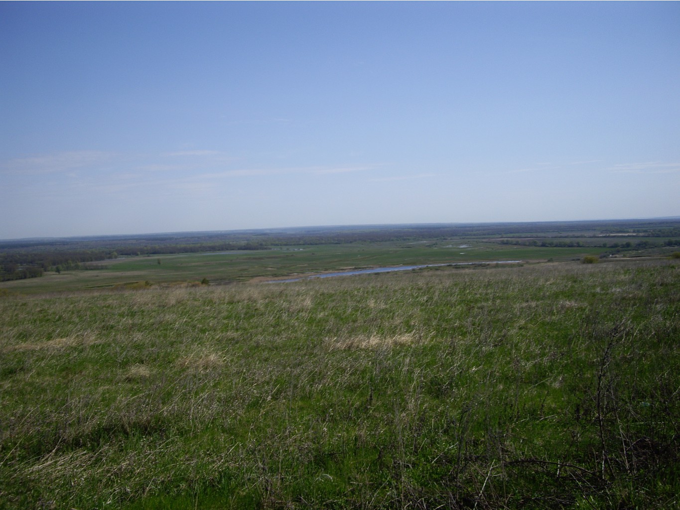 IMGP0083.JPG