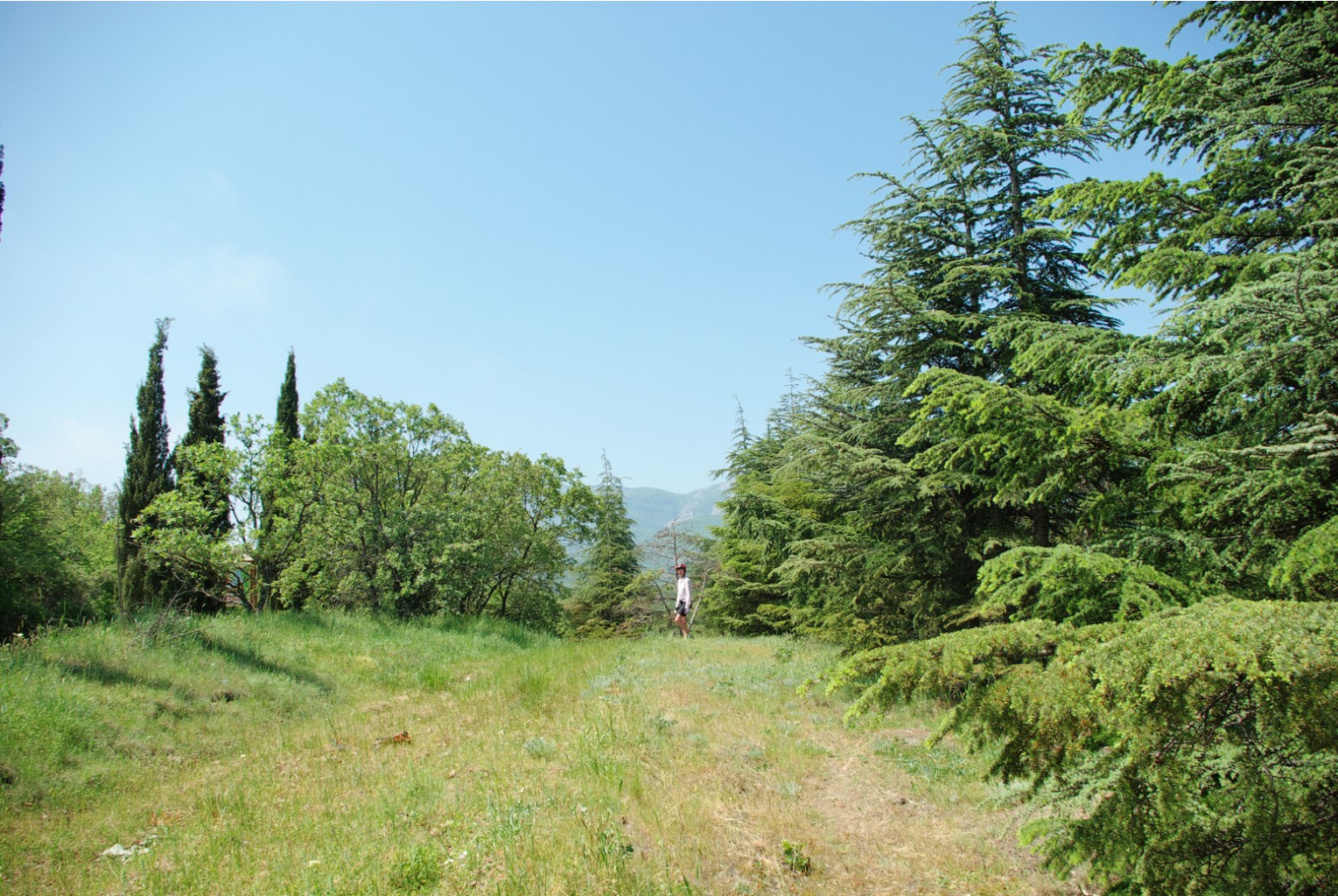 _IGP3681.jpg