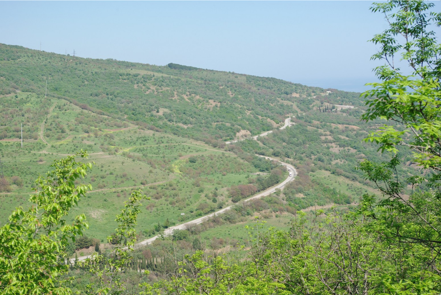 _IGP3683.jpg