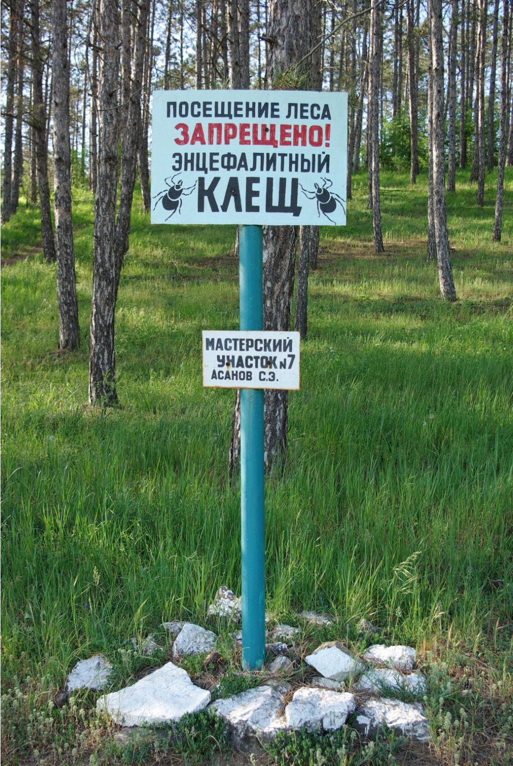 _IGP3867.jpg