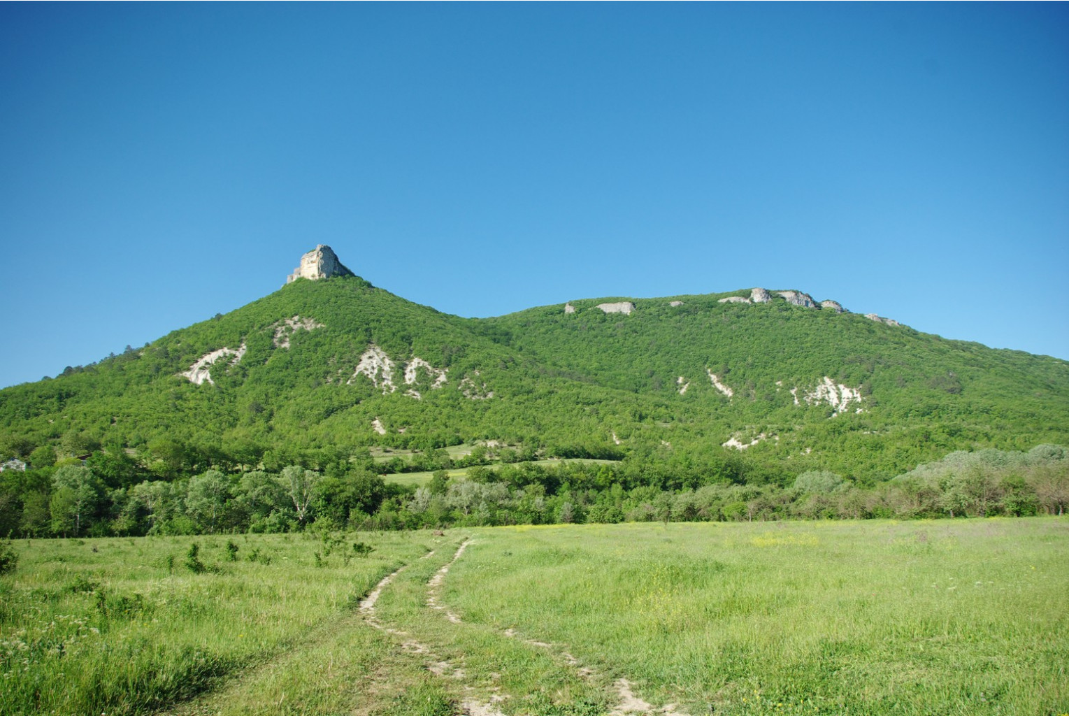 _IGP3877.jpg